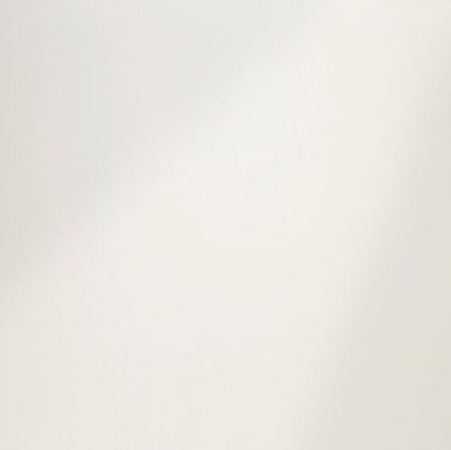 Image for Pro-Plas White High Gloss 2.7m x 250mm 2.7m2