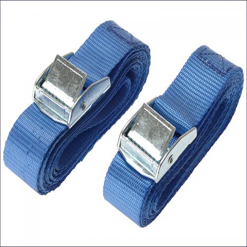 Image for Buckle Tie Down 2.5 Metre - 2 Pack